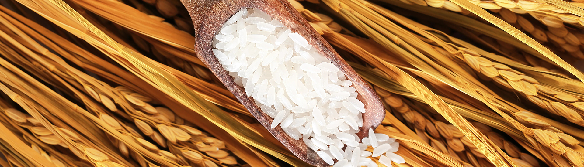 CA88(中国区)唯一官方网站